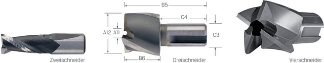 Abbildung 1