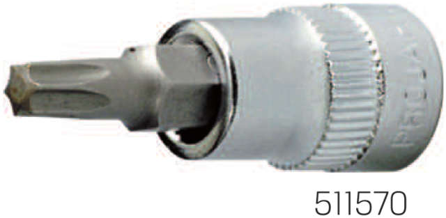 511570_B.jpg